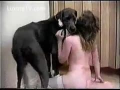 Playing beastiality, a big-breasted milf wearing nylons